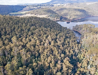 Address Withheld, Wilmot, TAS 7310, 0 Kuwarto, 0 Banyo, Lifestyle Property