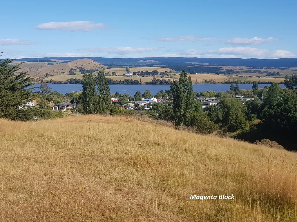 Waihola Waihola - Two Quality Bare Land Options