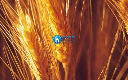 调查：新西兰农民盈利信心大跌