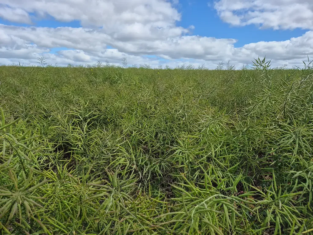 Esperance Lot 861 Mills Rd, Munglinup