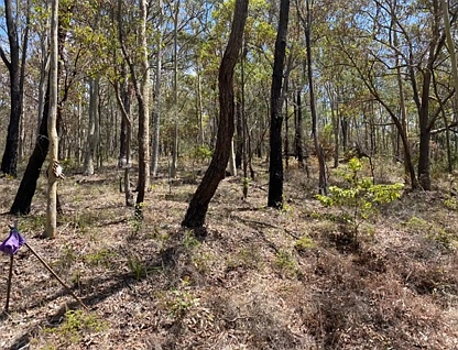 Lot 1579 Allandale Crescent, North Arm Cove, Hunter, 0 कमरे, 0 बाथरूम, Section