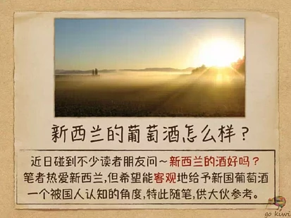 新西兰的葡萄酒怎么样？