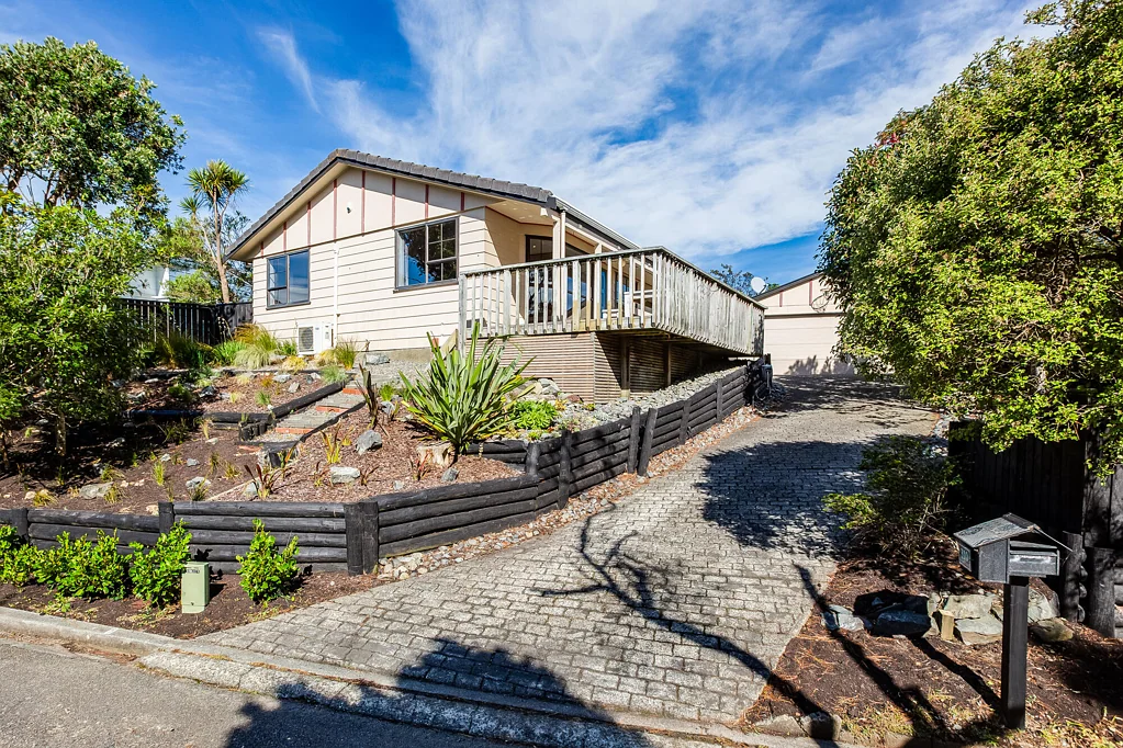 310 Mitchell Street, Brooklyn, Wellington
