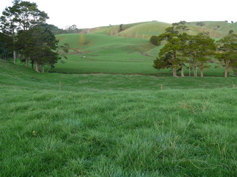 Omana Road, Tangiteroria, Kaipara, 0 phòng ngủ, 1 phòng tắm