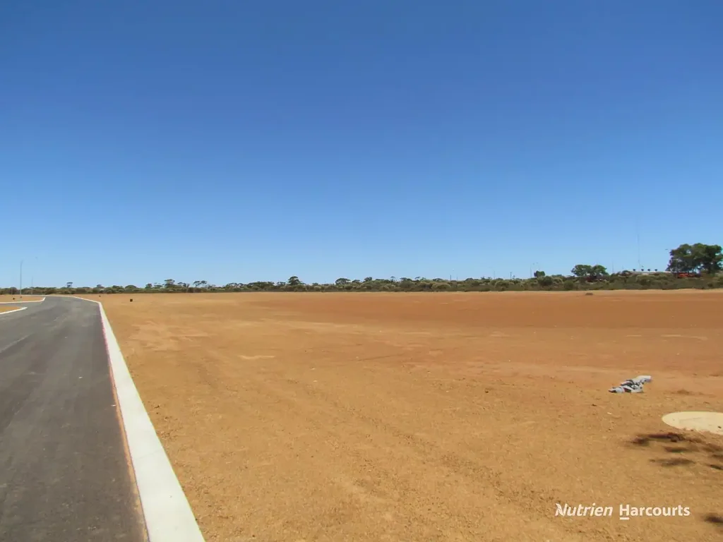 Dalwallinu  Industrial Land Sub - Division Opportunity