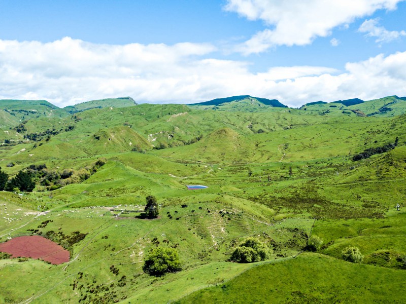 145 Rere Farm Settlement Road, Rere, Gisborne, 0 chambres, 0 salles de bain