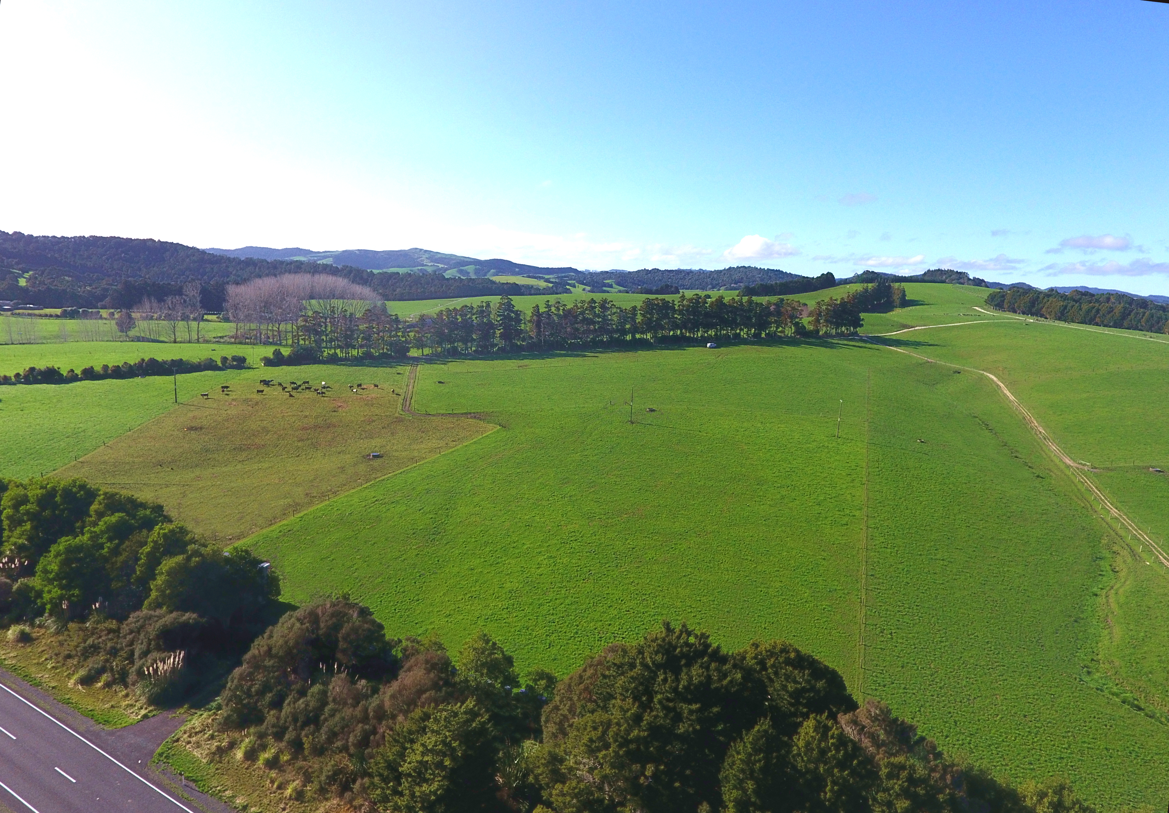 298 Waiteitei Road, Wellsford, Auckland - Rodney, 0 ਕਮਰੇ, 1 ਬਾਥਰੂਮ, Dairy