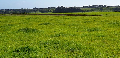 5 Rona Road, Brixton, New Plymouth District, 0 Bedrooms, 0 Bathrooms, Dairy