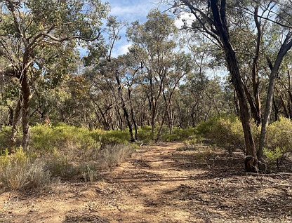 LOT CA/91B Woolshed Flat Road, Wedderburn, Bendigo, 0 Schlafzimmer, 0 Badezimmer, Section