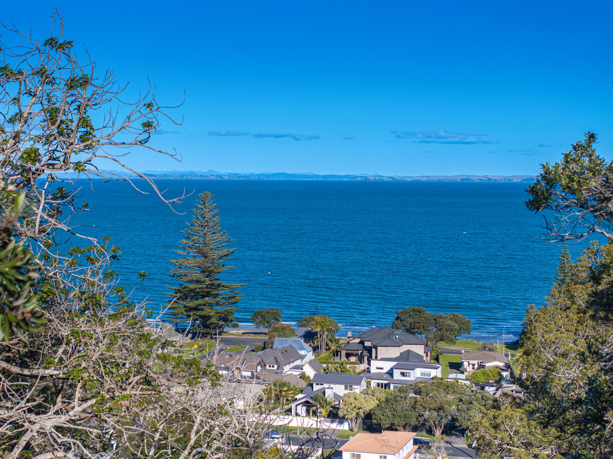 6 Cochrane Avenue, Arkles Bay, photo 2