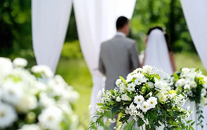 晚婚、不婚的KIWI青年增多 登记人数仅三分之一