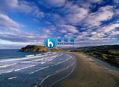 新西兰吉斯伯恩之特色