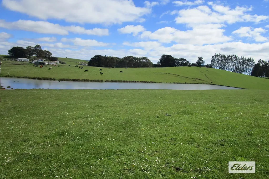 Preston  OUTSTANDING CATTLE BLOCK - 38.65 HECTARES (95 Acres)