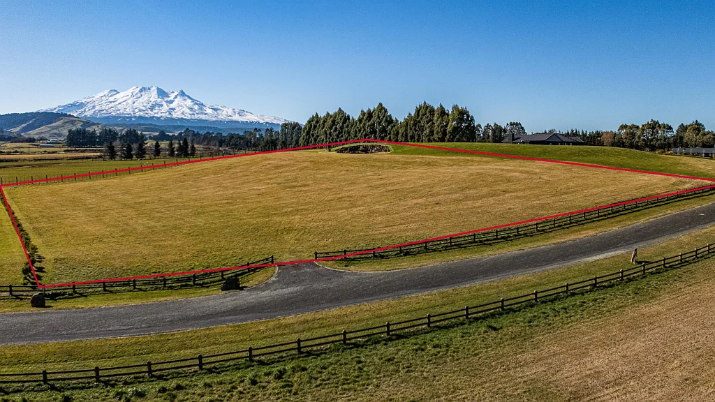 Ohakune Whalefield magic - a standout section!