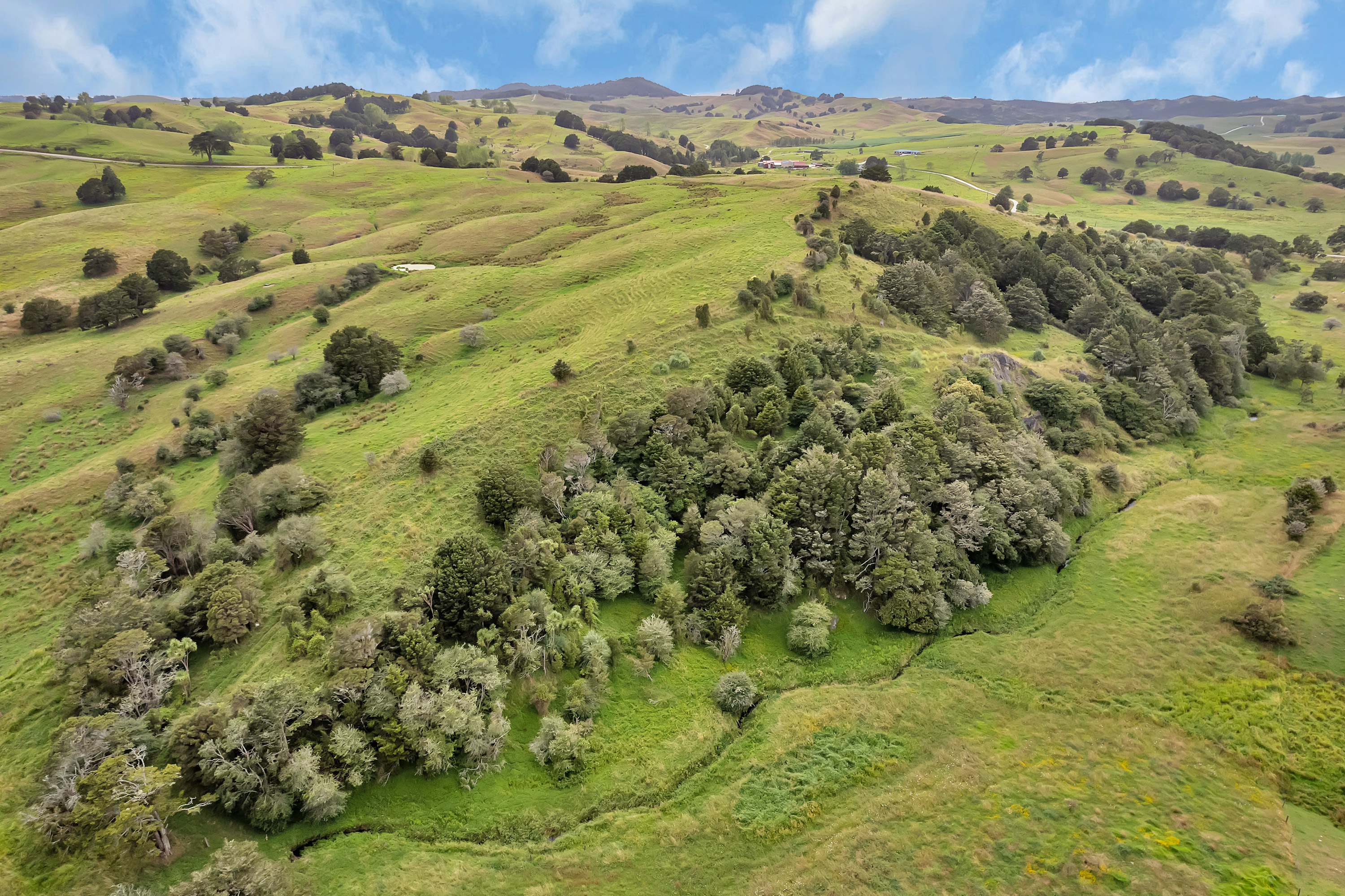 1754 Ararua Road, Otamatea Surrounds, Kaipara, 0 chambres, 0 salles de bain, Lifestyle Section