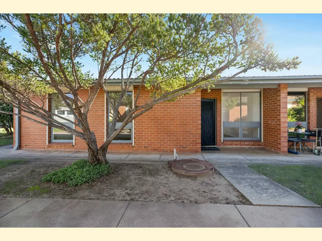 Freshly Renovated Front Unit in Prime Location