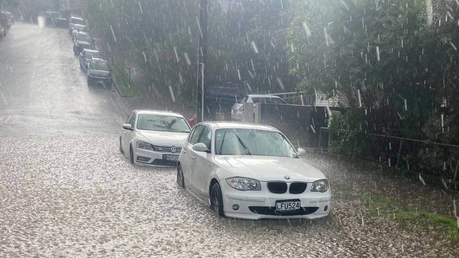 奥克兰暴雨警报：局部将迎雷暴、强降雨，持续24小时