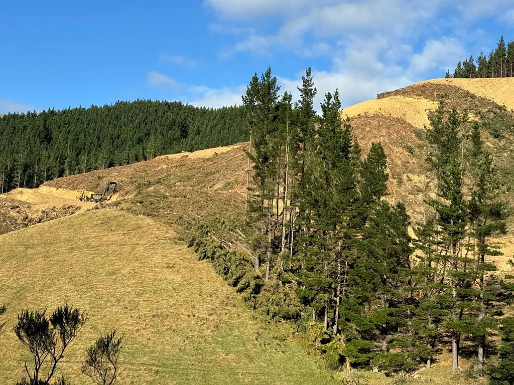 Whitemans Valley  Forestry investment opportunity