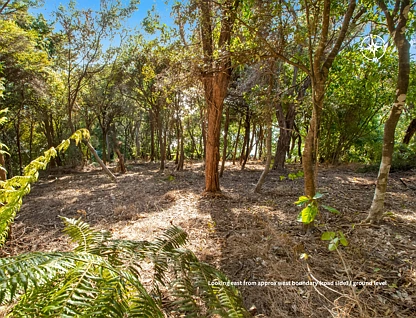 22 Albert Crescent, Ostend, Waiheke Island, 0 Bedrooms, 0 Bathrooms, Section