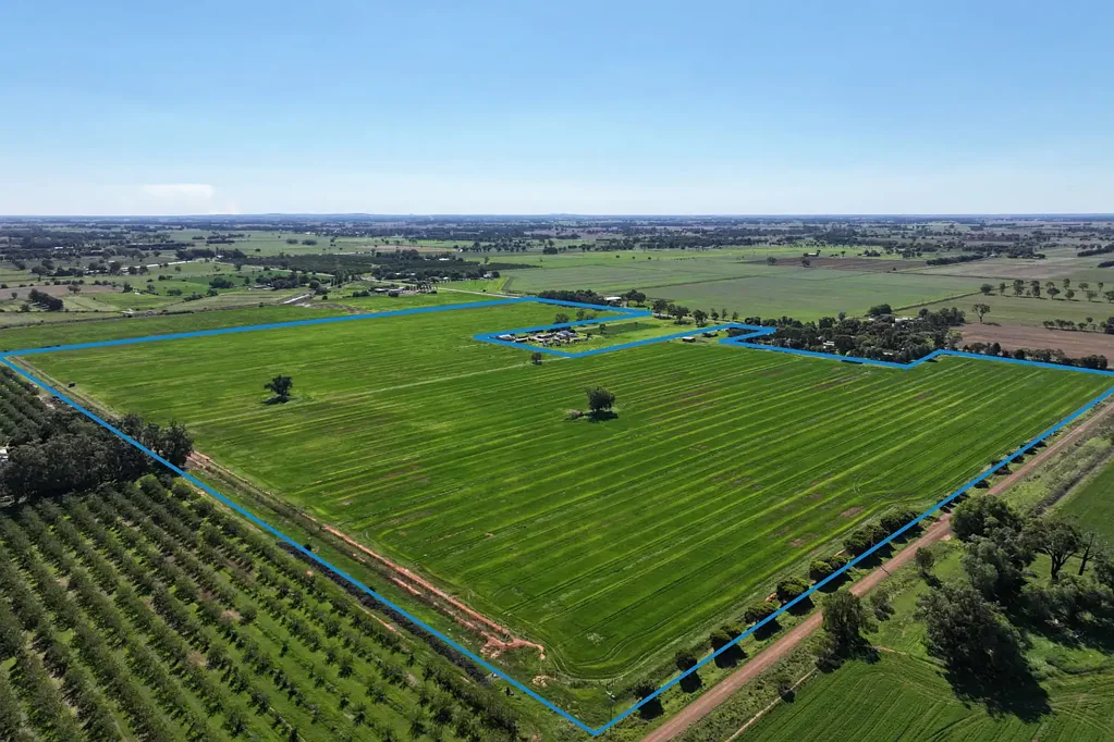 Bamawm  VERSATILE FARMING OPPORTUNITY