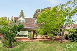 13 Whistler Avenue, Unley Park