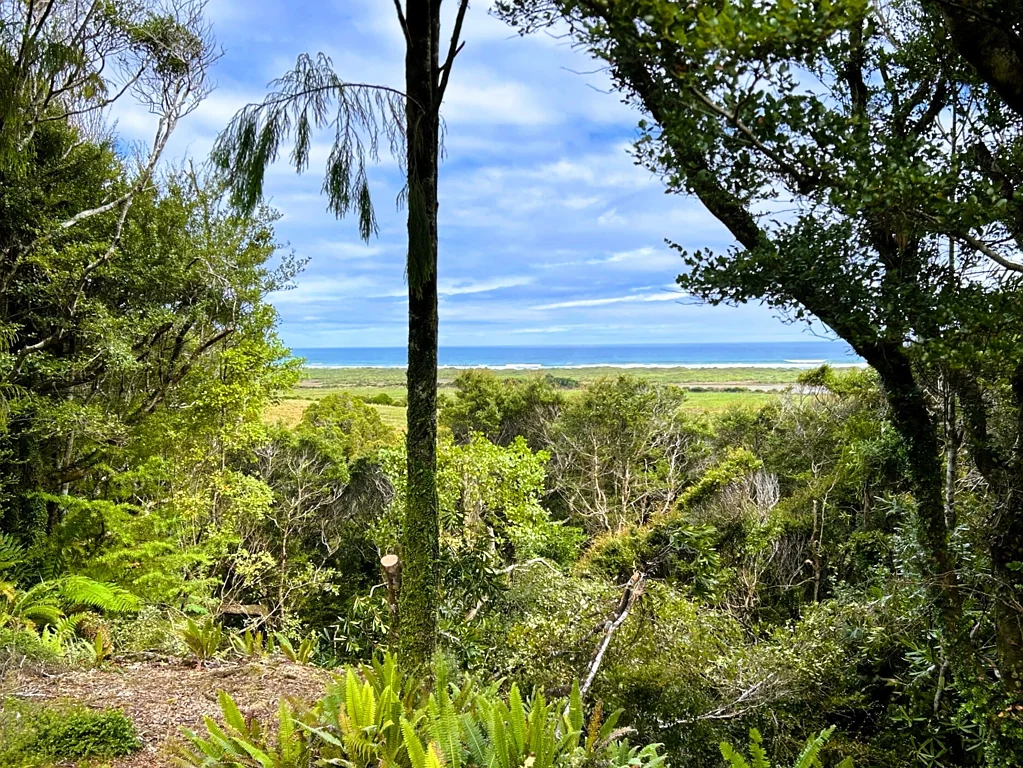 Charleston  Privacy and potential coastal views