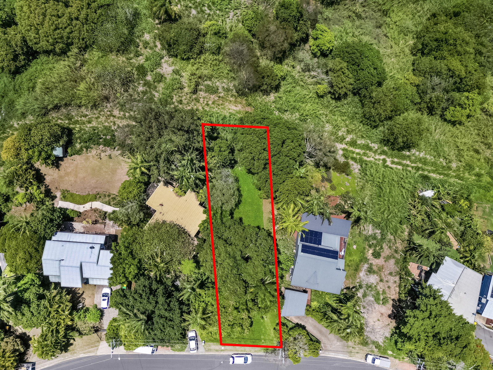 96 PENINSULA DR, BILAMBIL HEIGHTS NSW 2486, 0 habitaciones, 0 baños, Section