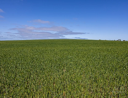 Sect. 217 Old Saltworks Road, Warooka, Barossa - Yorke - Mid North, 0 ਕਮਰੇ, 0 ਬਾਥਰੂਮ, Lifestyle Property