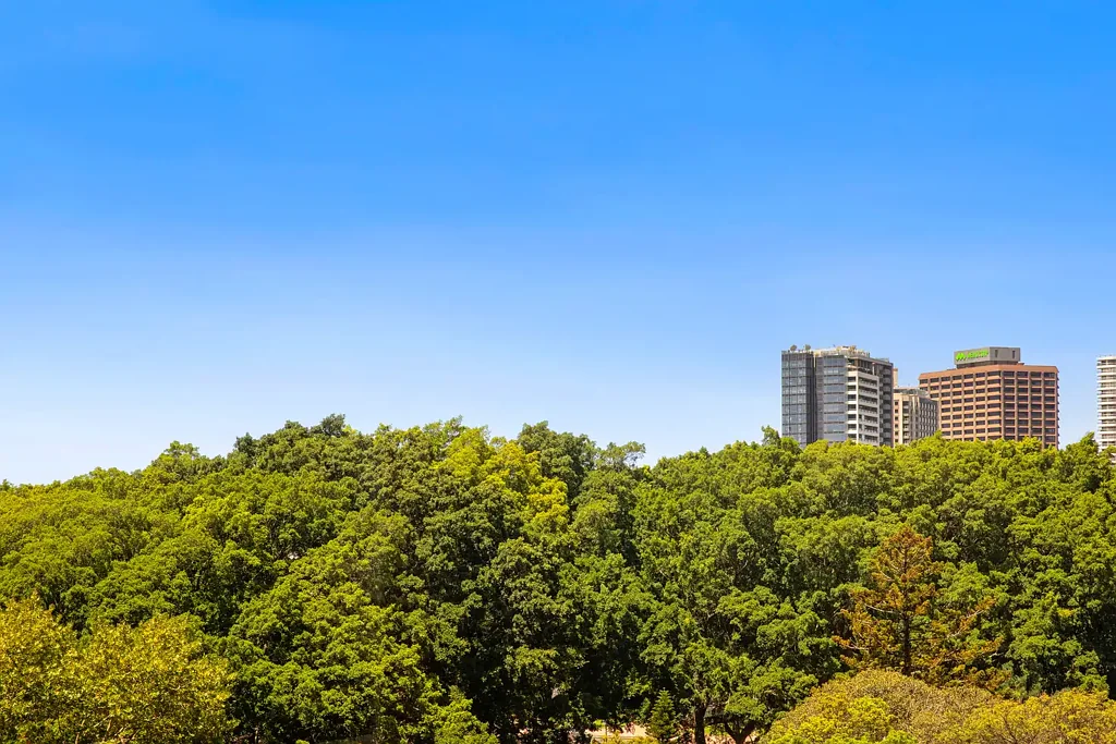 Sydney 3房 King Street黄金地段 人字拼木地板 主套房带浴缸酒柜 邻近Hyde Park 交通便捷 A Refined City Home on Prestigious King Street