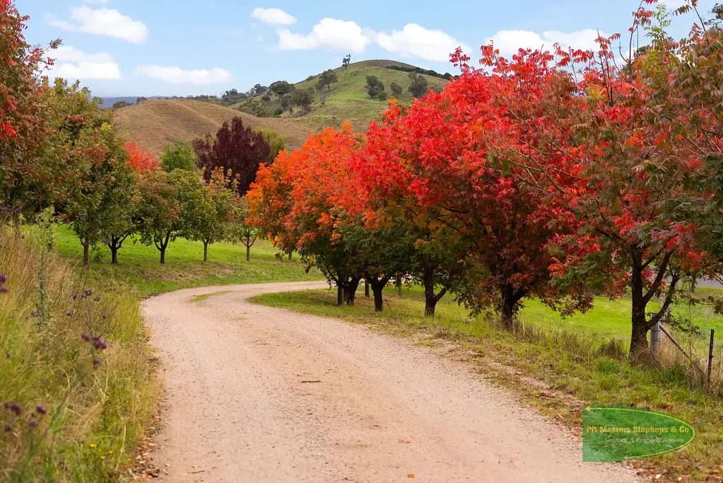 Address Withheld, Ganbenang, NSW 2790
