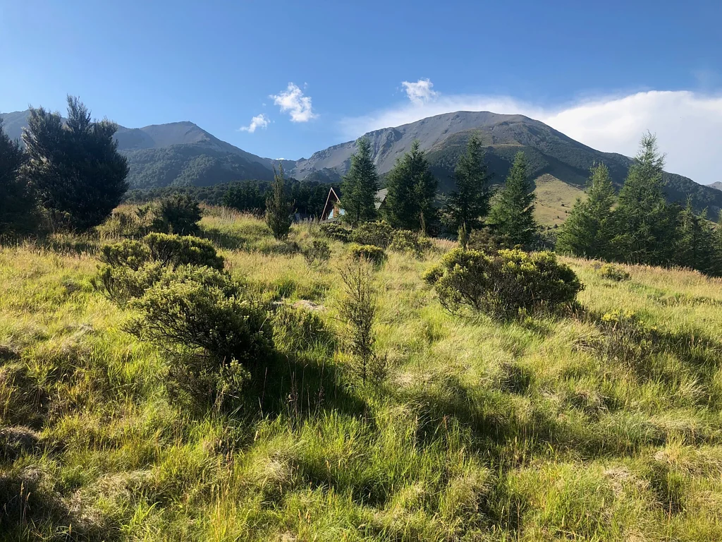 Lyford  Unobstructed views