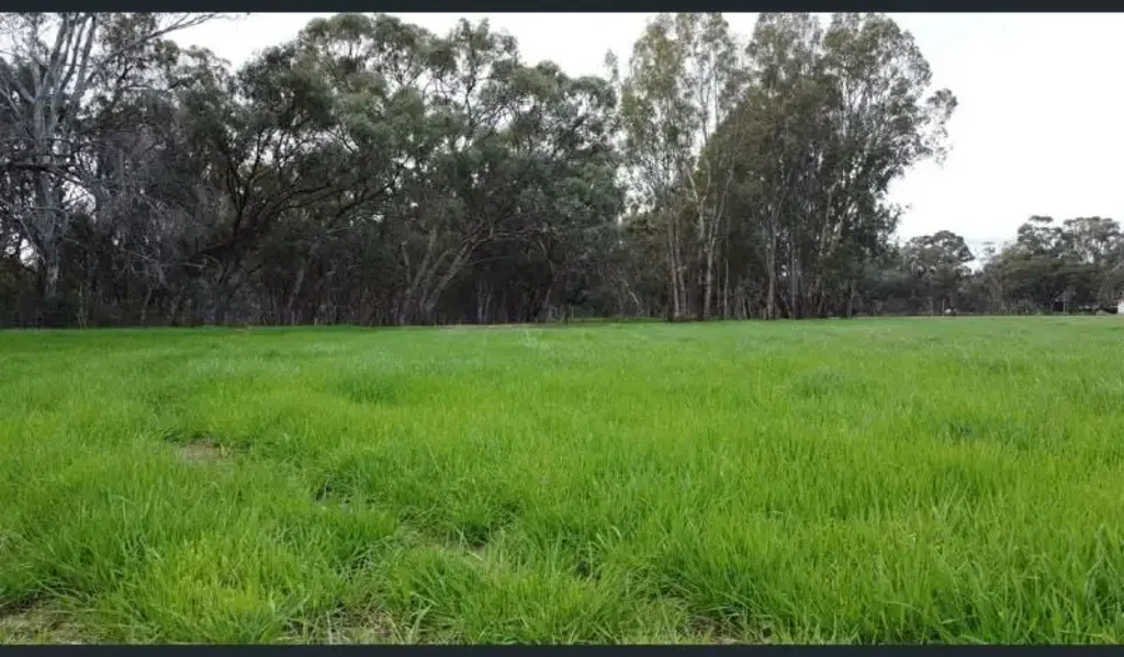 Address Withheld, Echuca Village, VIC 3564