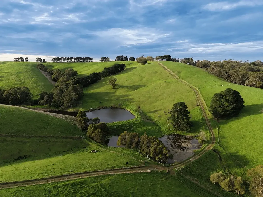 Buffalo Buffalo Grazing, Elevated Views | 112 acres*