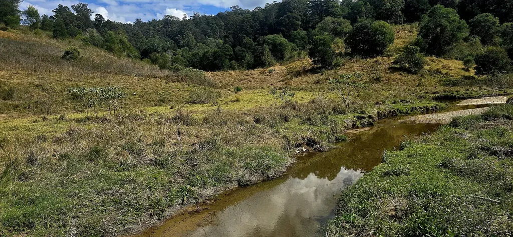 Lot 1066 Sheet O'Bark Road, Burrapine, NSW 2447
