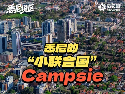 悉尼“小联合国”火了？！华人扎堆，地铁加持房价猛涨20%！