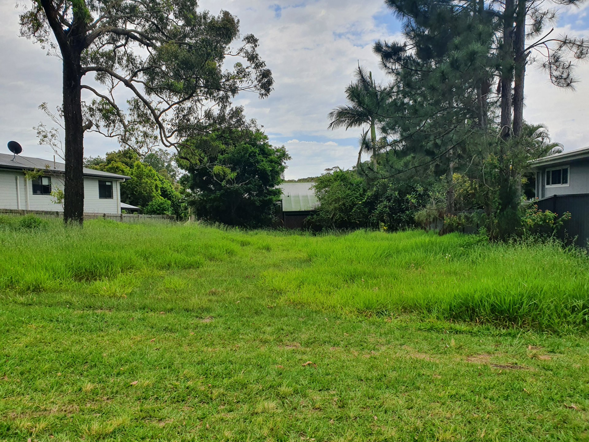 3 VINE ST, MACLEAY ISLAND QLD 4184, 0房, 0浴, Section