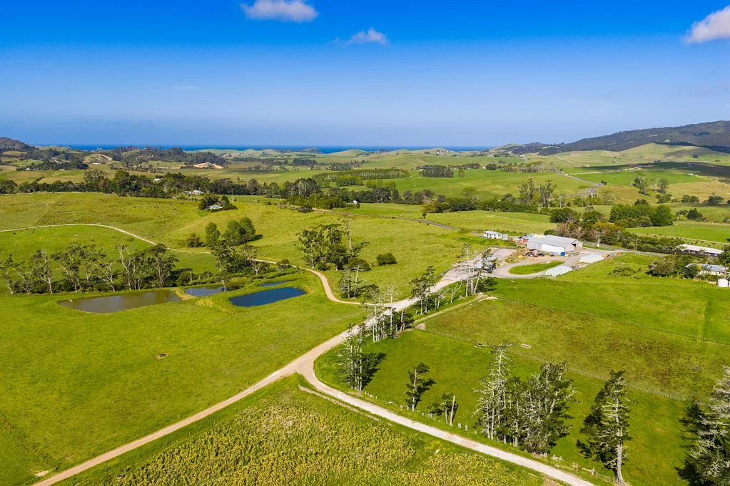 Pataua 158ha with options - farm, invest or diversify