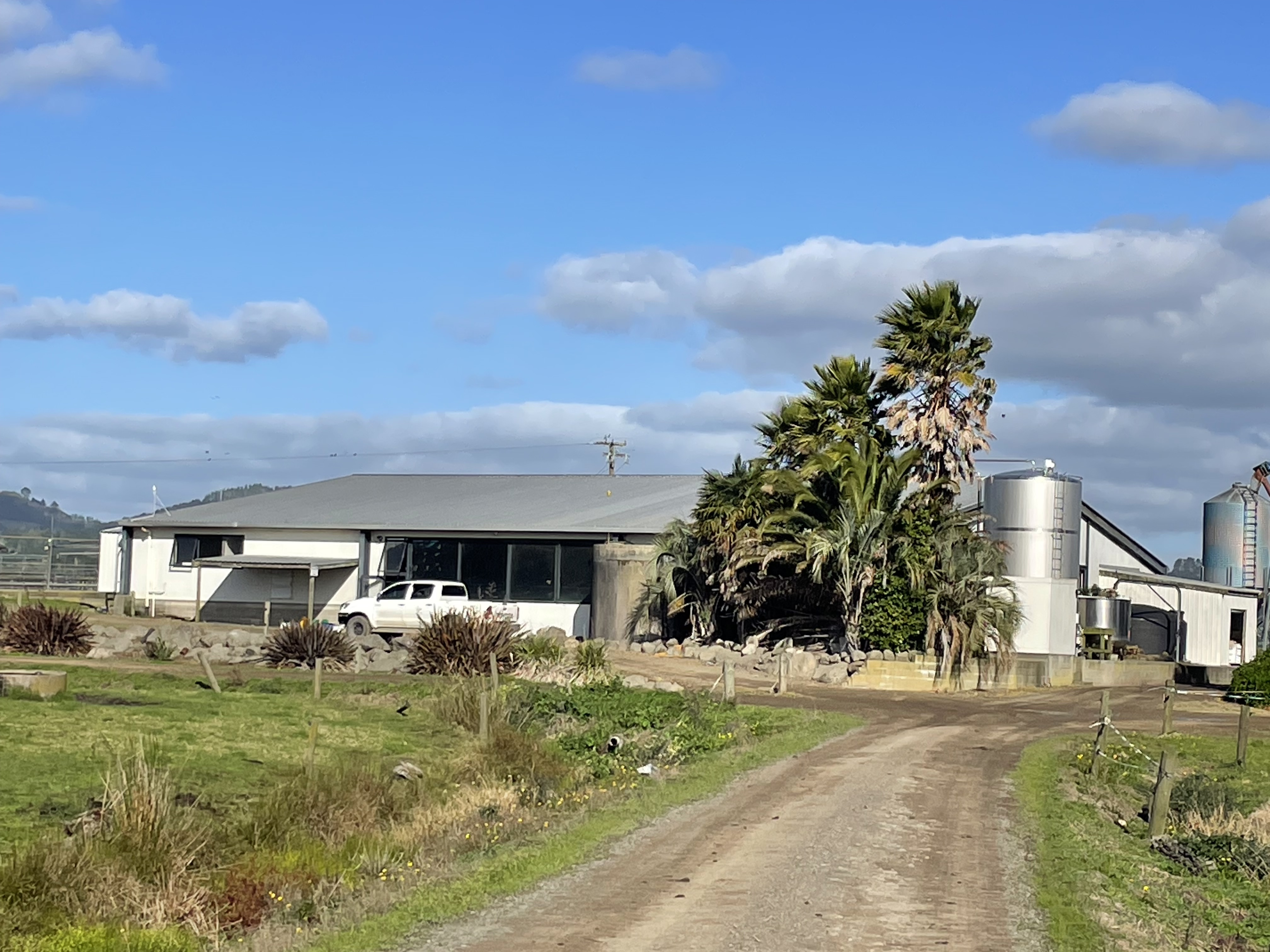 251 Apotu Road, Kauri, Whangarei, 8 침실, 0 욕실, Dairy