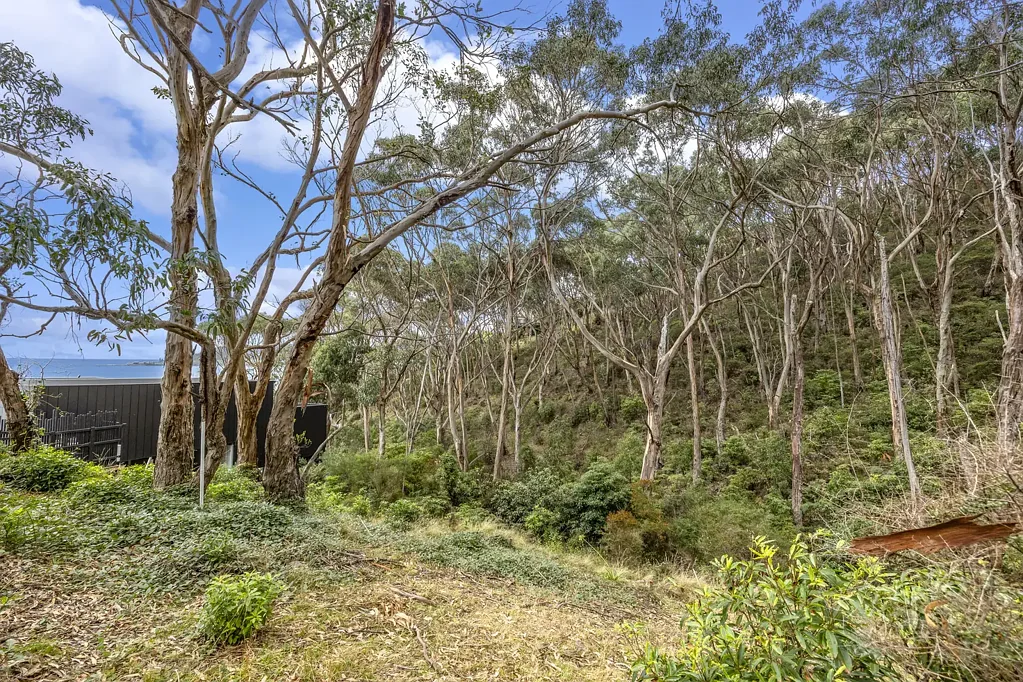 Lorne  THE BEST OF BUSH AND BEACH