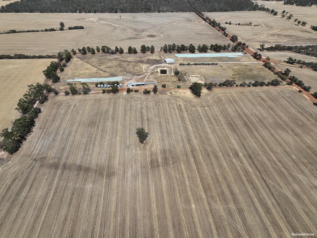 Highbury "WEEWONDER" Prime Agricultural Property