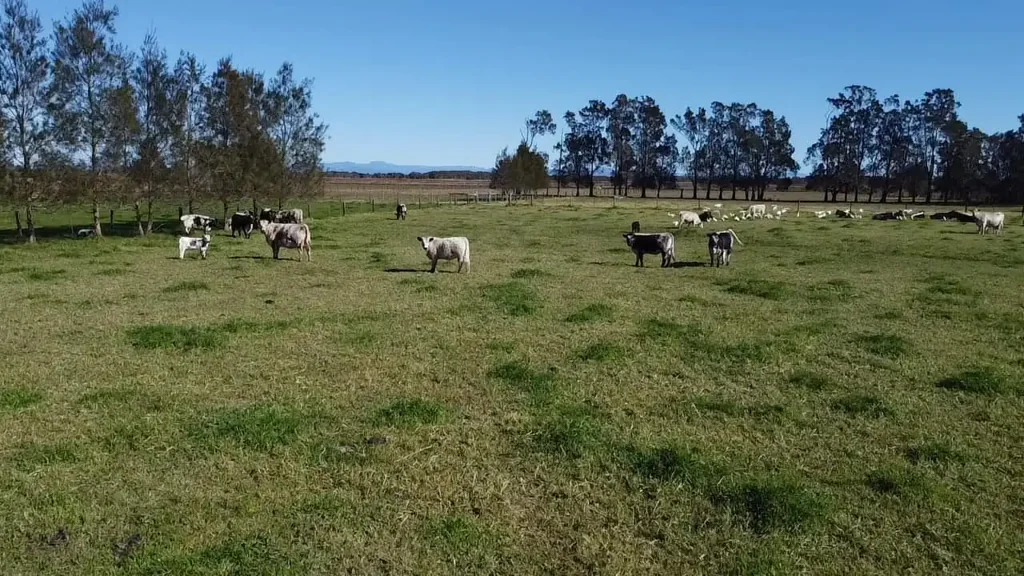 Kinchela  Building Entitlement