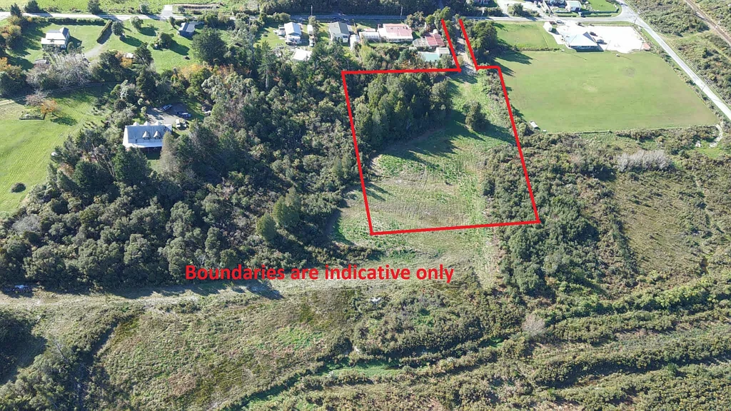 Waimangaroa Private native bush section