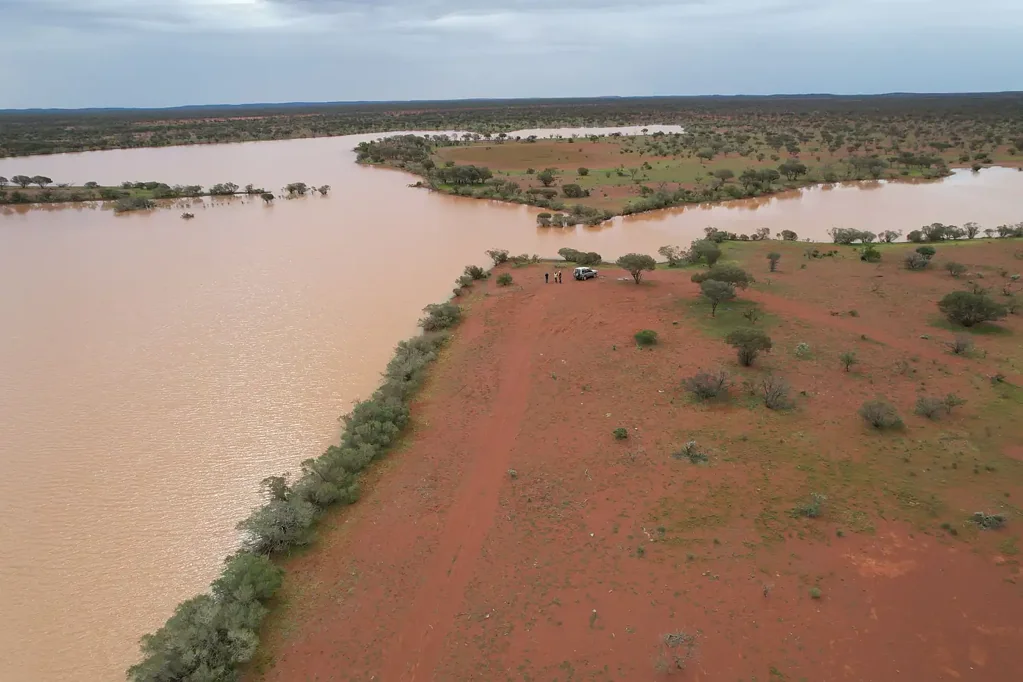 Meekatharra Polelle Station, Meekatharra