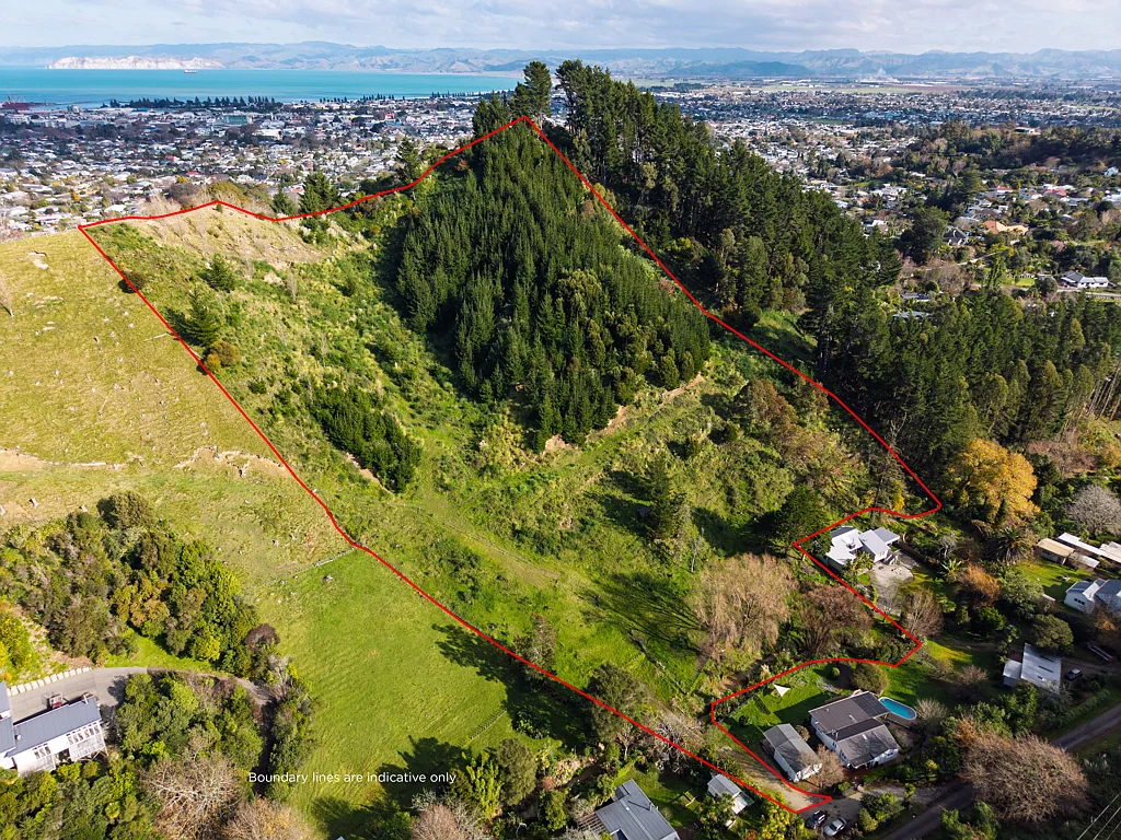 Whataupoko  Opportunity awaits in Whataupoko
