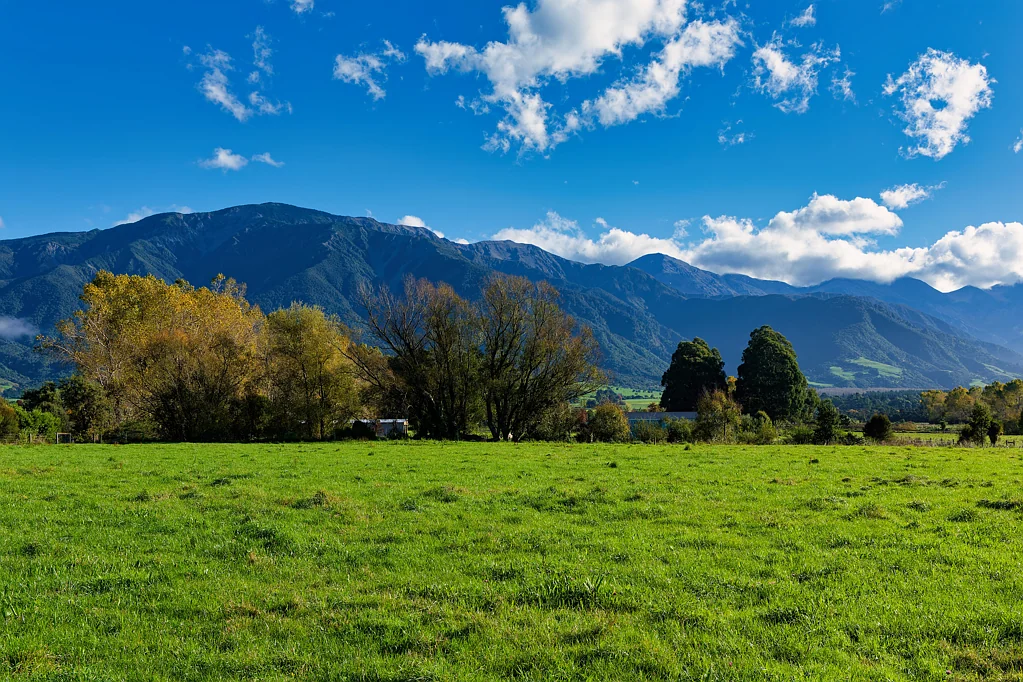 Kaikoura  2.9ha looking at the mountains