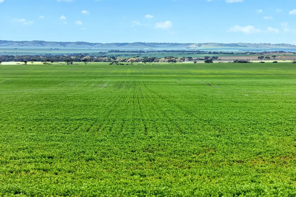 Mount Templeton  Versatile Mt Templeton Farmland with Expansion Appeal