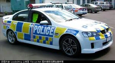 新西兰一对年轻夫妇策划盗窃骗保案被判小区工作250小时