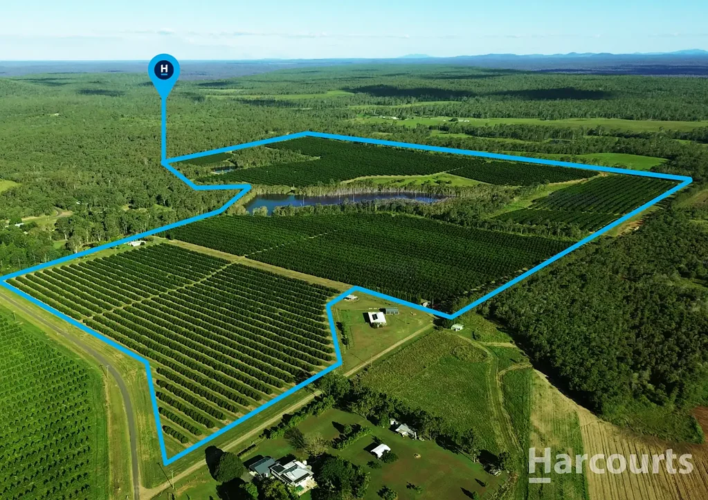 South Isis 13,100 TREE MACADAMIA ORCHARD APPROACHING ITS PRIME