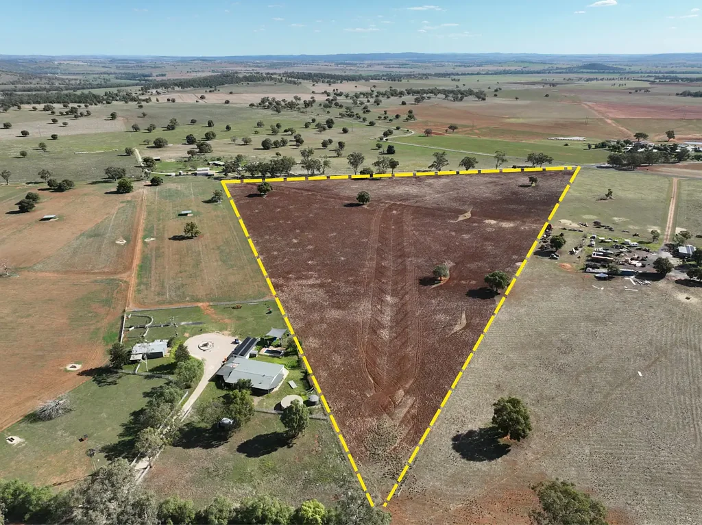 Maryvale 25-Acre Lifestyle Block