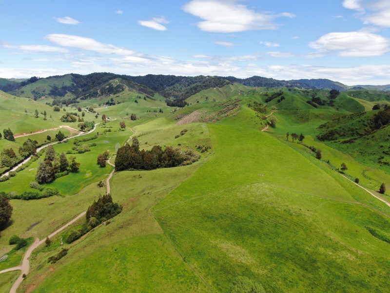 168 Matiere Road, Aria, Waitomo, 0 habitaciones, 0 baños